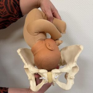 Cursus Bevallen vanuit Balans - Spinning Babies